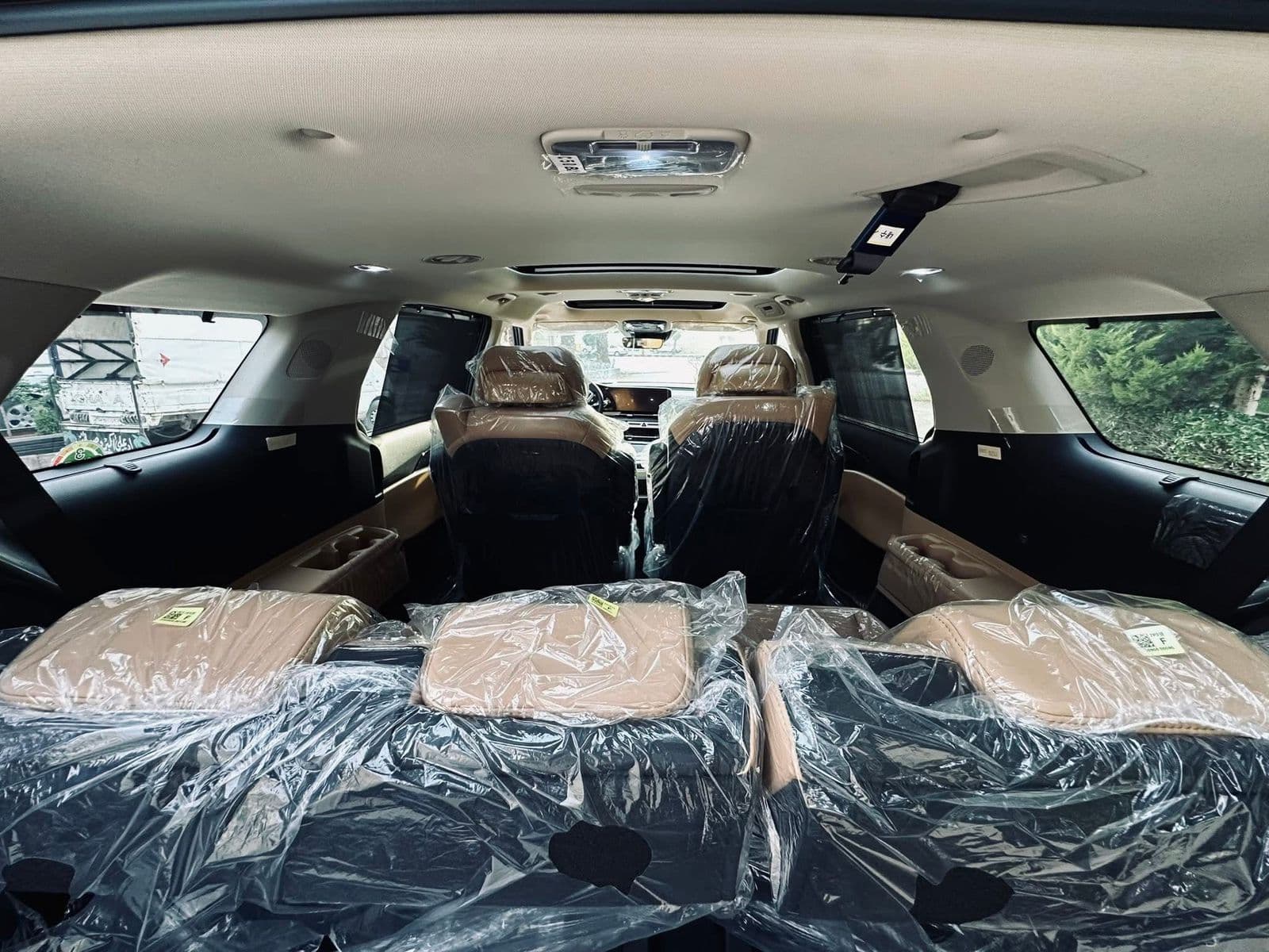 كرنفال 2024 للايجار 5